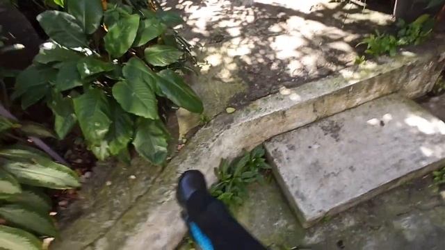 Review Collabsible Trekking Pole Naturehike ST09