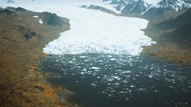 Why do Africa and Asia Have So Many Giant Animals Compared to The Rest of the World? смотреть онлайн