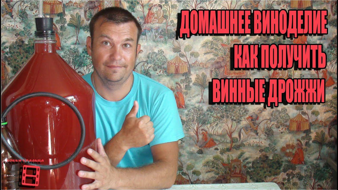 ДОМАШНЕЕ ПЛОДОВО-ЯГОДНОЕ ВИНОДЕЛИЕ ПРОСТО. КАК ПОЛУЧИТЬ САМОСТОЯТЕЛЬНО ВИННЫЕ ДРОЖЖИ. ВИНО ИЗ МАЛИНЫ смотреть онлайн