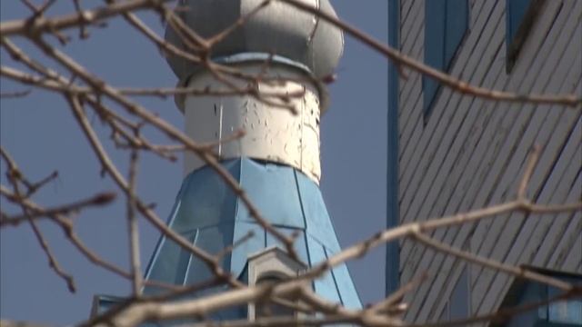 Скорлупа смотреть онлайн