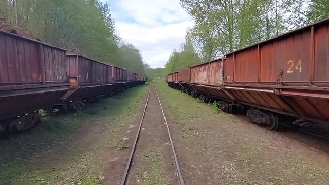 Жизнь беларусов среди болота. Оболь. Городок на севере Беларуси смотреть онлайн