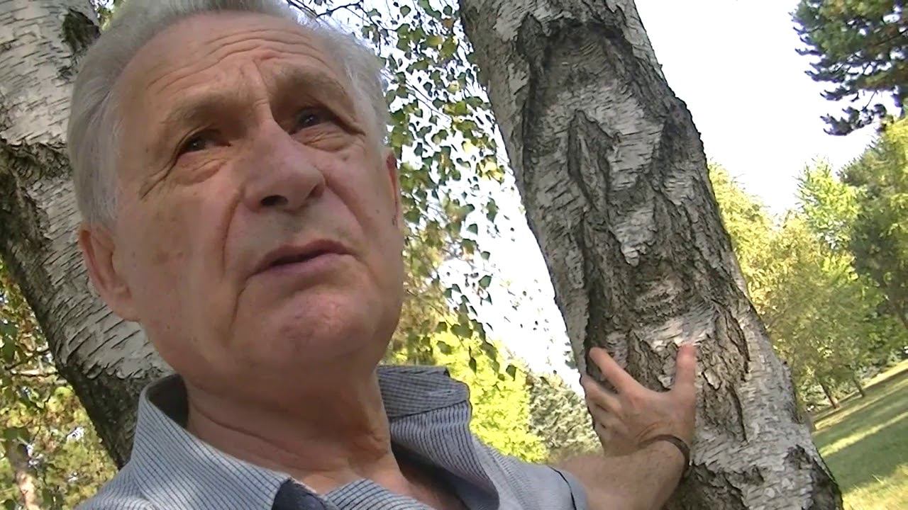 "Русь советская", С.А. Есенин. Читает заслуженный артист России и Кубани Равиль Гилязетдинов. смотреть онлайн