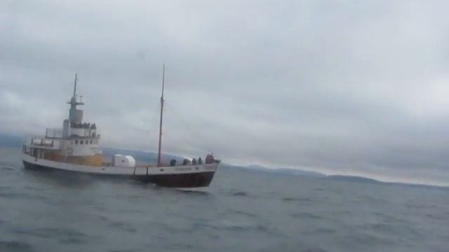 Киты в Гренландском море 14.06.12г. смотреть онлайн