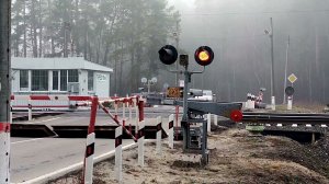 Казанское направление РЖД. Переезд 136 км (Луховицы). Локомотивы ВЛ 10 и ВЛ 11 с товарными поездами.