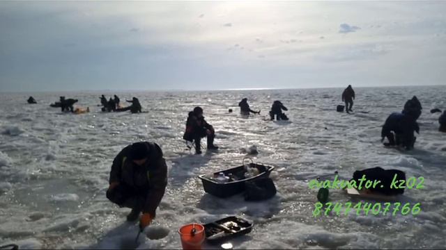 В Новом Году открываю сезон рыбалки зимняя рыбалка на водохранилище Капчагай, Алматинская область. смотреть онлайн
