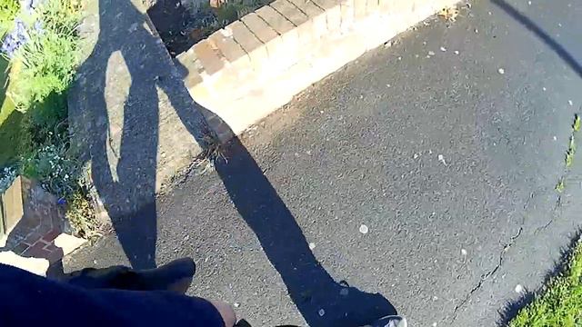 14 Month old Doberman walking to heel смотреть онлайн