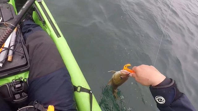Using Soft Plastics To Catch Cod From A Kayak смотреть онлайн