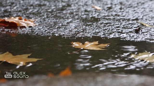 Осеннее настроение. Relax Music смотреть онлайн