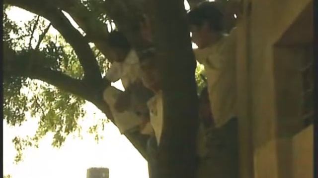 Инга Лозанчич (Бульвар ТВ) смотреть онлайн