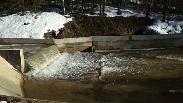 Плотина Сергиев Посад, озеро Лесное смотреть онлайн