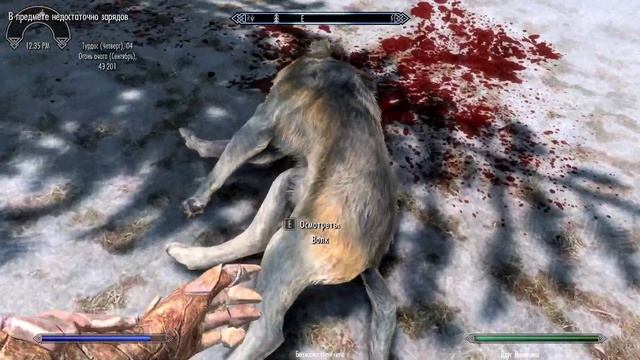 The Elder Scrolls V: Skyrim - CoronerLemurEdition