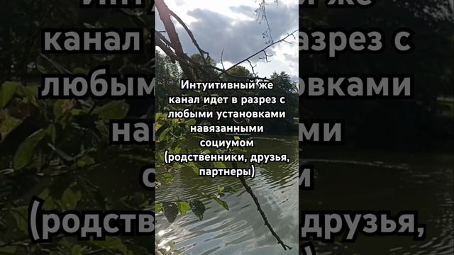 Разрыв шаблонов происходит через связь с душой ☝🏻 #эго #интуиция смотреть онлайн