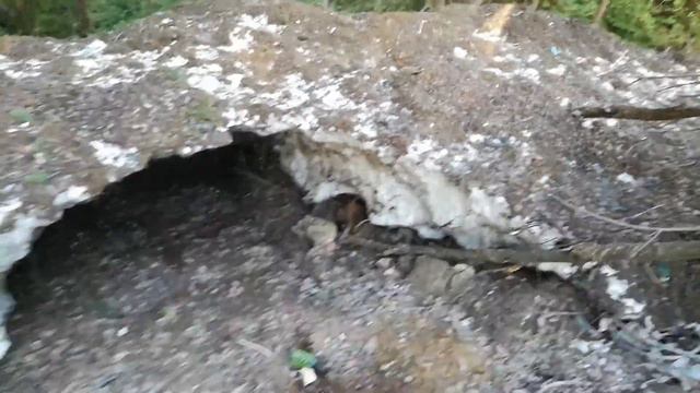 Дача. Проталина. смотреть онлайн