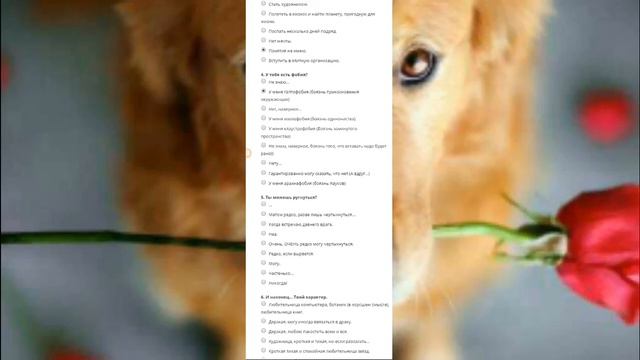 Я- человек Эрроринк!😎😂😎 смотреть онлайн