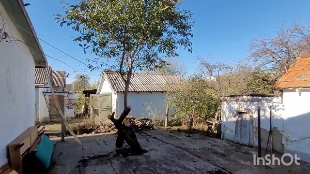 День 7. Проходка по участку-фиксация изменений.