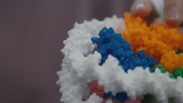 Биоинформатика: как машинное обучение помогает предсказывать свойства ДНК? — Назар Бекназаров смотреть онлайн