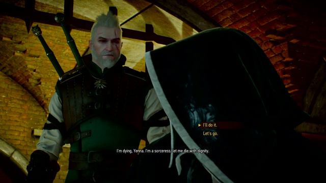 The Witcher 3: Wild Hunt – Mercy Killing Sorceress Sheala смотреть онлайн
