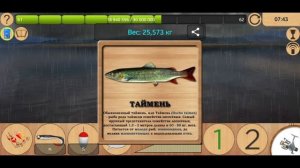 Как поймать Тайменя на Братском водохранилище [NEW] | Реальная Рыбалка