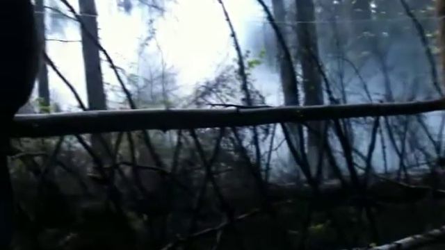 селитра аммиачная + газеты