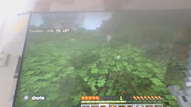 Dragon Fire Light Minecraft