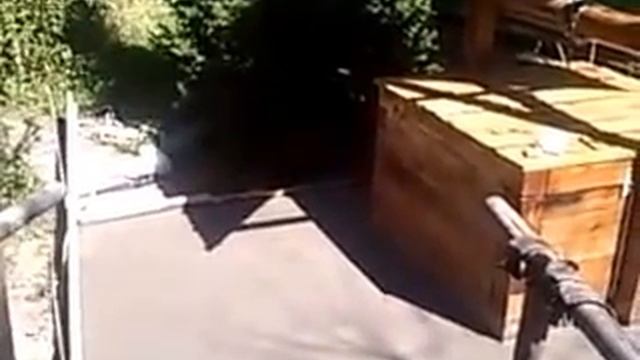 Колодец на воду Талгар 87077335555 смотреть онлайн