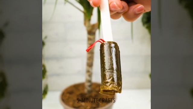 Clever Plant Hacks For Your Home Garden смотреть онлайн