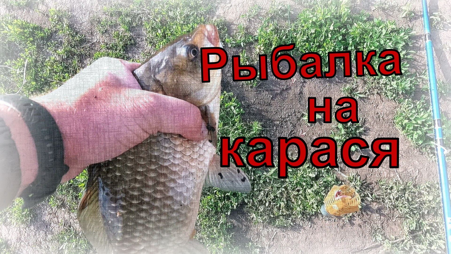 Рыбалка на карася, июнь смотреть онлайн