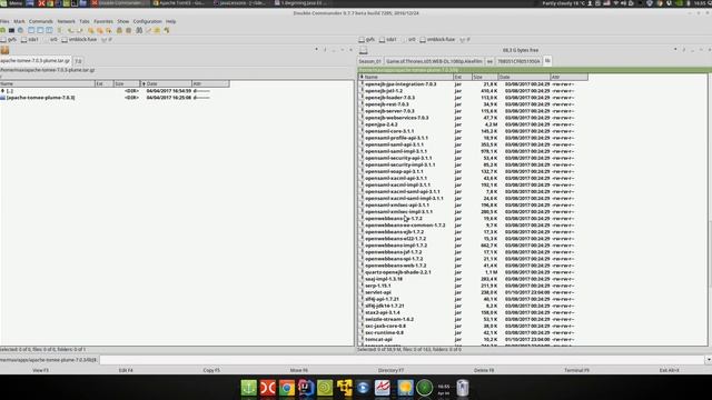 Java EE 44: CDI 1: Установка Tomcat EE смотреть онлайн