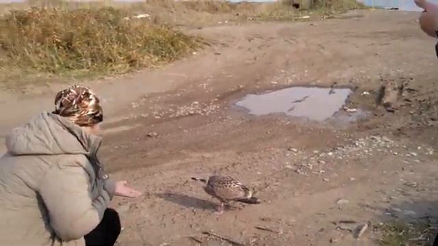 Залив Терпения остров Сахалин