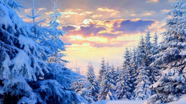 ЗИМНИЙ ЛЕС смотреть онлайн