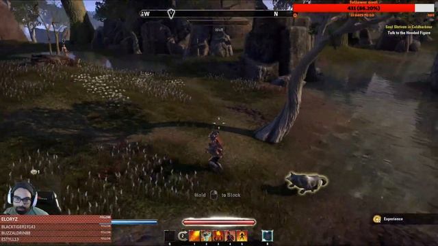 ESO| Magicka Dragonknight Nerfed beyond repair|Dragonhold| The Elder Scrolls Online смотреть онлайн