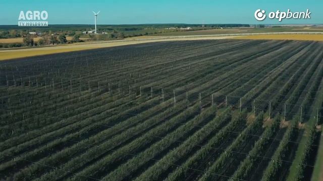 OTP Bank răsplătește cei mai harnici agricultori смотреть онлайн