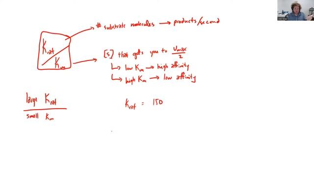 Kcat/Km Explained! смотреть онлайн