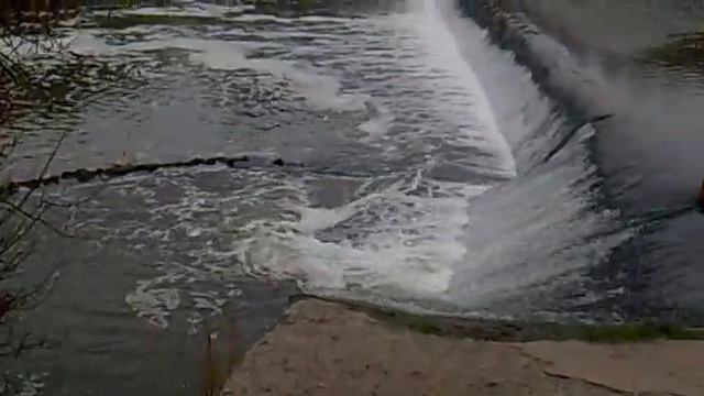 Зелень речка природа смотреть онлайн