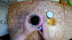 Масло мяты перечной. Изготовление масла из дикой мяты в домашних условиях.Мятное масло