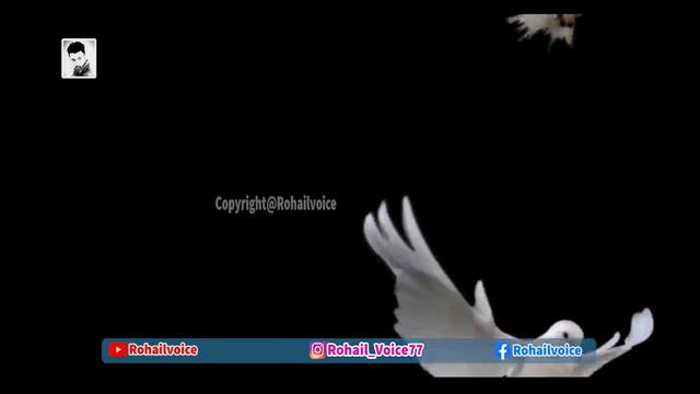 Farishton Ki Dunya | World Of Angels | Islamic Stories | Rohail Voice смотреть онлайн