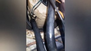 Не работает датчик уровня топлива, ищем причину. Пассат б3