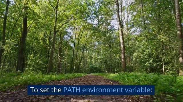 How to download java 17 || install java for windows 10 смотреть онлайн