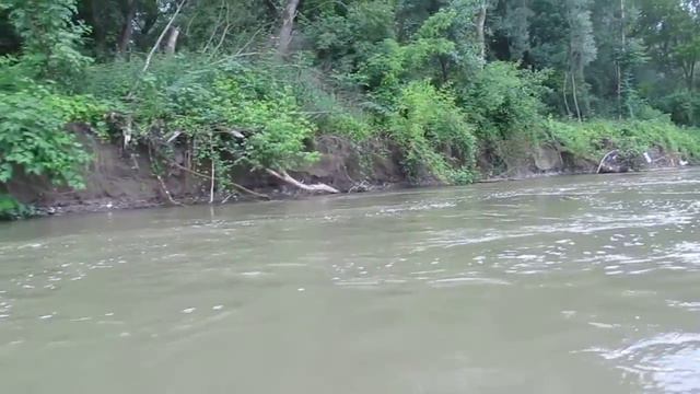 Мы только управляем –река сама несёт! смотреть онлайн