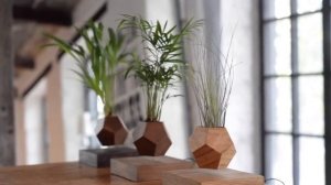 Левитирующий горшок для растений