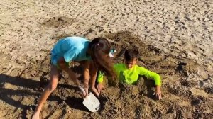 Хайди и Зидан играли на пляже и застряли в песке