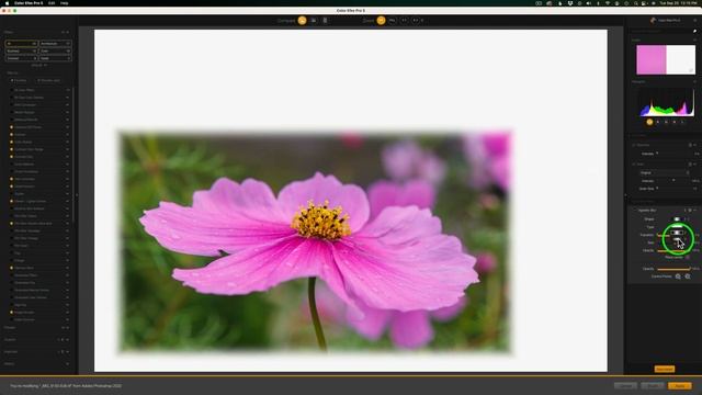 Nik COLLECTION 5: Understanding The Vignette Blur Filter