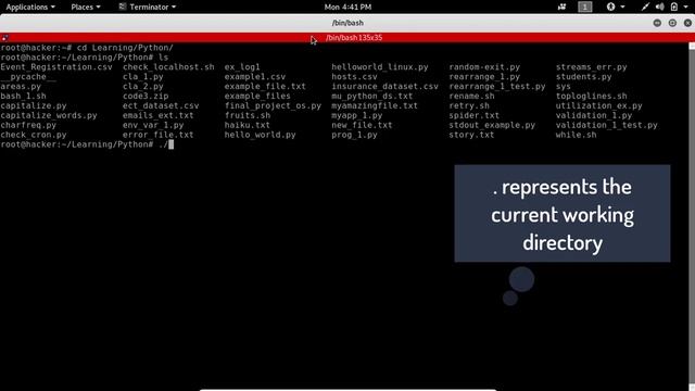 Run Python on Linux || Basic Python смотреть онлайн
