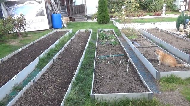 Дача Осень Все, что вы хотели знать. Или почти все...)) Мои Ответы смотреть онлайн