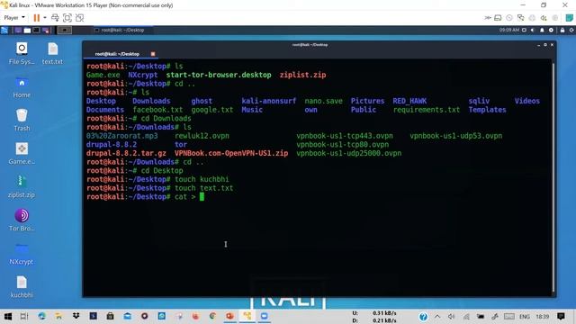 Kali linux tutorial for beginners in hindi | Ethical hacking Kali linux command line смотреть онлайн