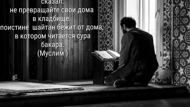 слущать Коран ,  на русском языке смысловой перевод Корана, Коран и перевод. сура аль бакара.