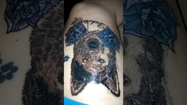 Husky Tattoo Progress Session 1 смотреть онлайн