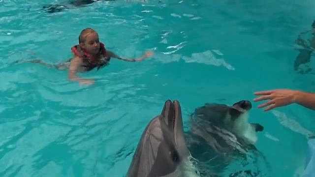 Катя плавает с дельфинами ? Дельфинарий Немо Nemo в Киеве ? Шоу Дельфинов ? смотреть онлайн