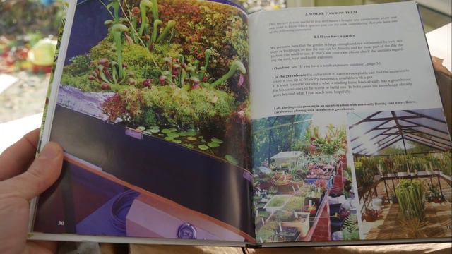 [BON PLAN] BUNDLES PLANTES CARNIVORES DIFLORA смотреть онлайн