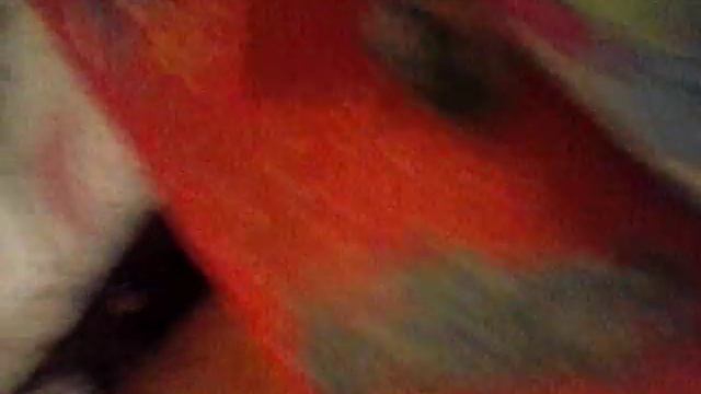 Проверяем 2 способа как получить айфон под подушкой смотреть онлайн